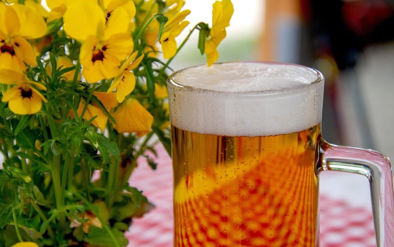 Oktoberfest Celebration